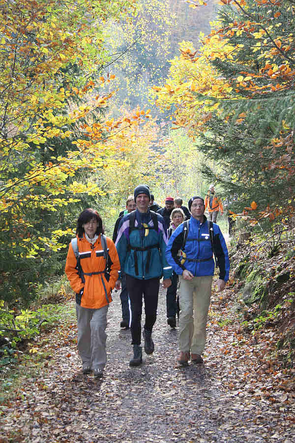Der Wandermarathon Pfälzerwald findet am 26.10.14 statt.